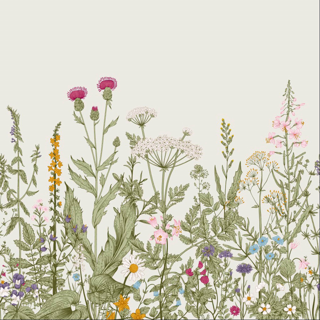 Фотообои полевые цветы