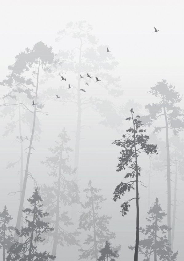 Фотообои Сосновый лес