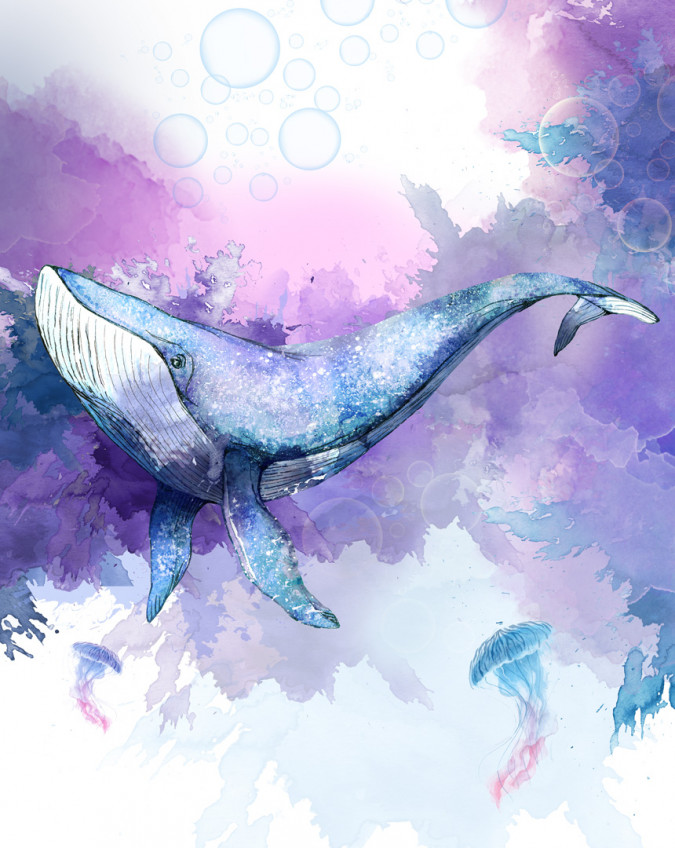 Фотообои Синий кит