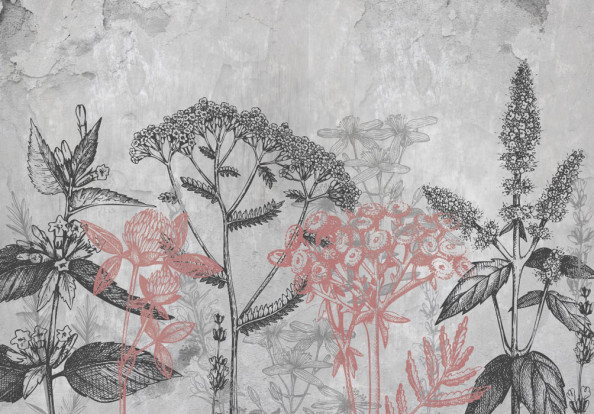 Фотообои Векторные серые растения