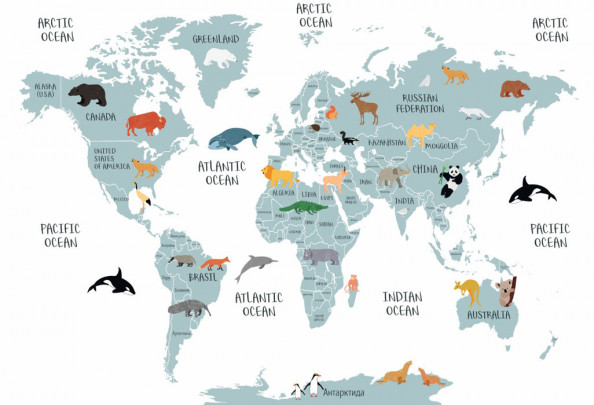 Фотообои  Детская развивающая карта
