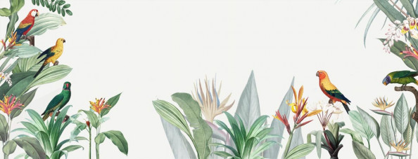 Фотообои Тропические листья с птичками
