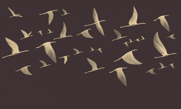 Фотообои птицы