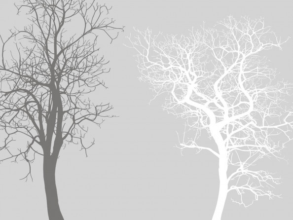 Фотообои деревья