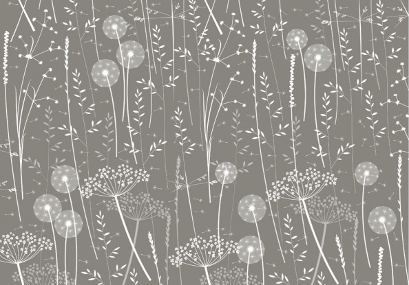 Фотообои Серые одуванчики