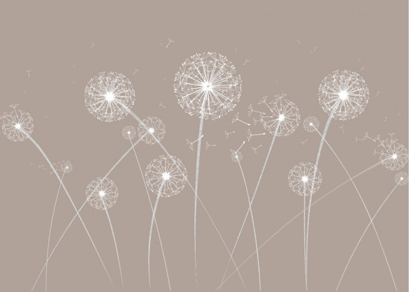 Фотообои Векторные одуванчики