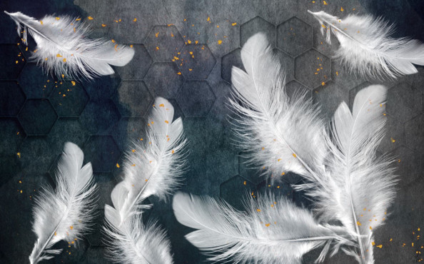 Фотообои Перья и соты