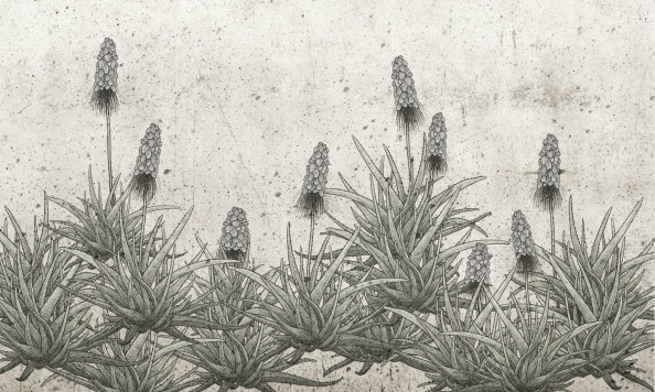 Фотообои скетч