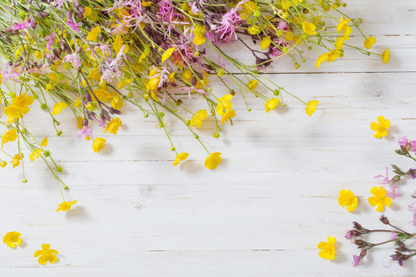 Фотообои цветы