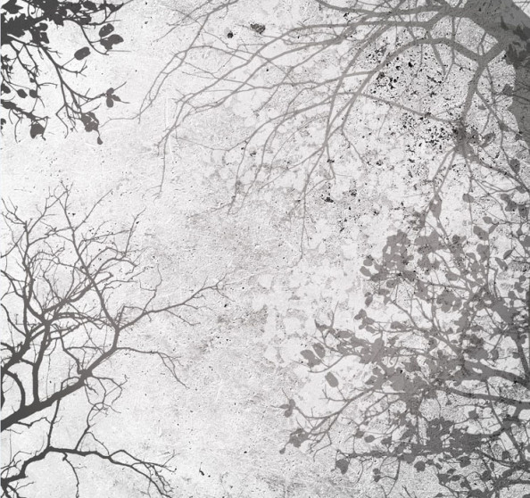 Фотообои Ветки скандинавские