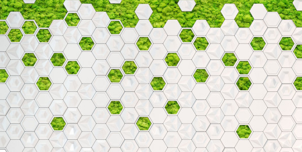 Фотообои Искуственный мох, светлый фон