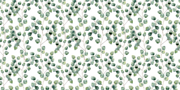 Фотообои Эвкалиптовые листья