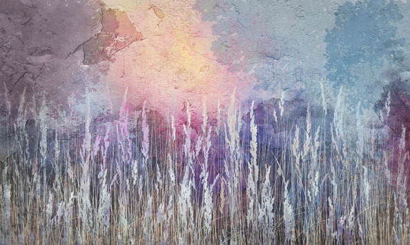 Фотообои Дизайнерские сухоцветы