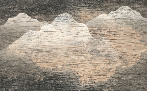 Фотообои Старая древесина