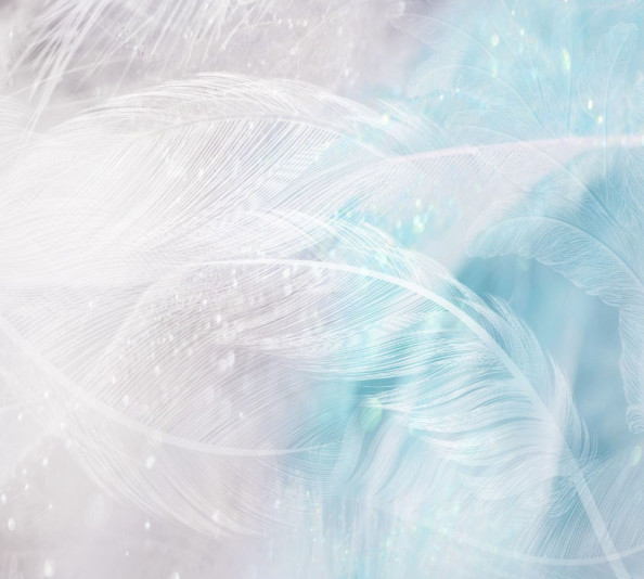 Фотообои Голубые перья