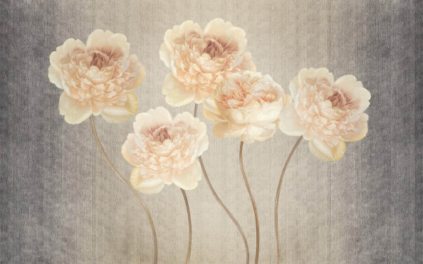 Фотообои пионы