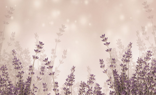 Фотообои Лавандовые ветки на бежевом