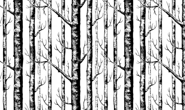 Фотообои Деревья в скандинавском стиле