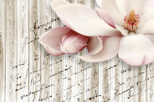 Фотообои Магнолия