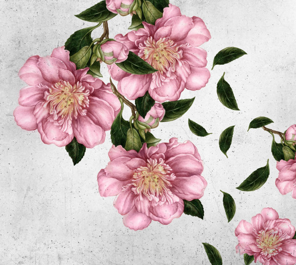 Фотообои цветы