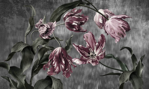 Фотообои тюльпаны