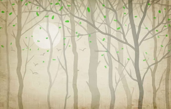 Фотообои Туманный лес