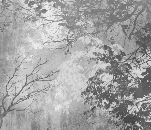 Фотообои фактура с деревьями