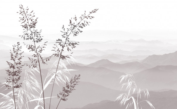 Фотообои  сухостой