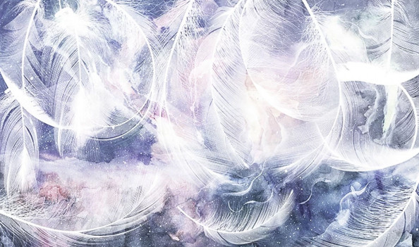 Фотообои Пушистые перья на фиолетовом фоне