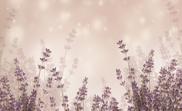 Фотообои Цветение травы