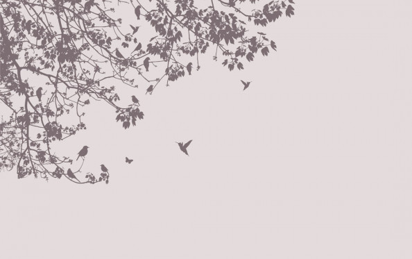 Фотообои Колибои, векторное дерево