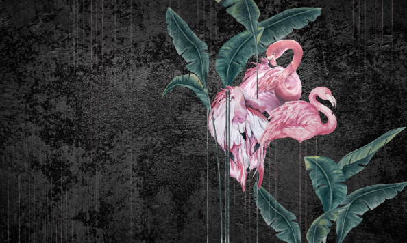 Фотообои Розовые фламинго на чёрном фоне