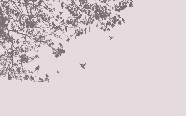 Фотообои Ветки на сером фоне