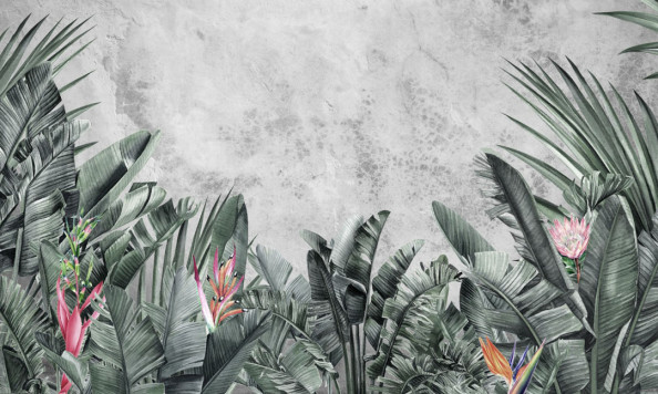 Фотообои Тропики и бетон