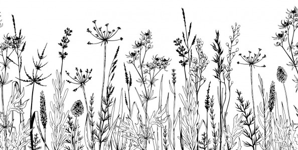 Фотообои трава