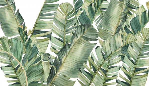 Фотообои тропические листья