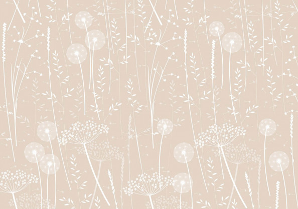 Фотообои полевые цветы