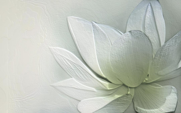 Фотообои Магнолия