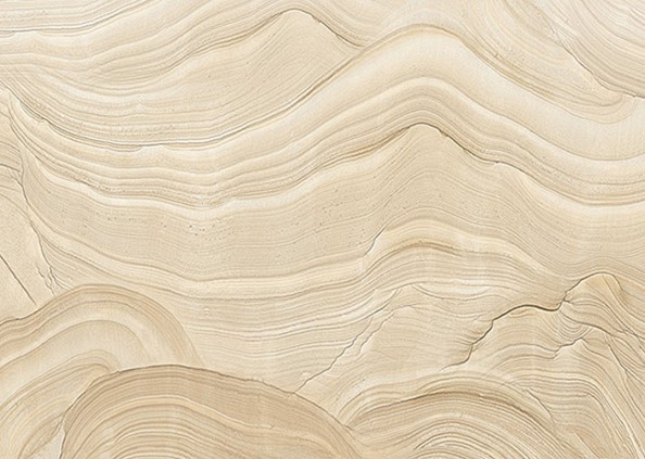 Фотообои Текстура среза дерева