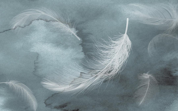 Фотообои Серо-белые перья