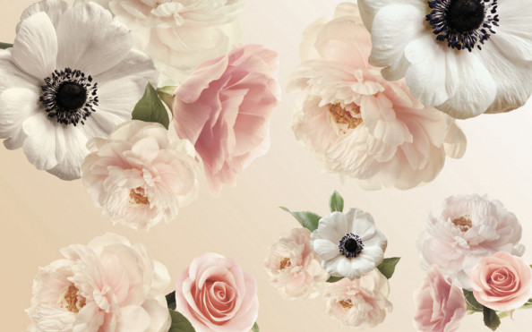 Фотообои Цветочная композиция