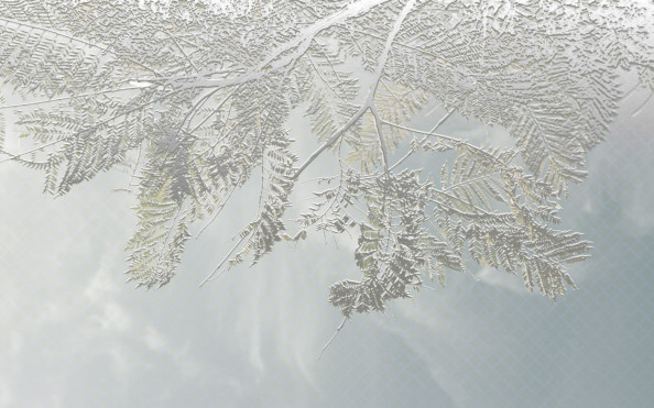 Фотообои тиснение листьев