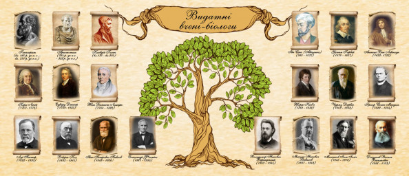 Фотообои в кабинет биологии