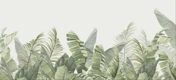 Фотообои Бамбуковые листья