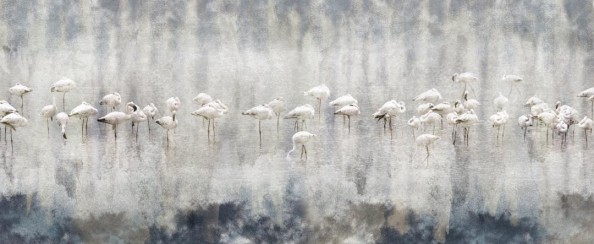 Фотообои Фламинго в тумане