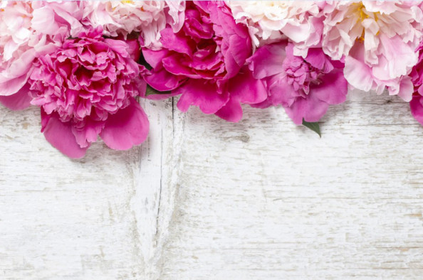 Фотообои Цветущие пионы на деревяной текстуре
