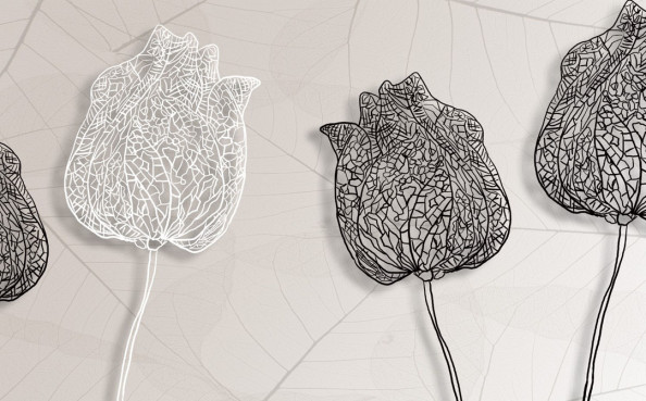 Фотообои Иллюстрация цветов