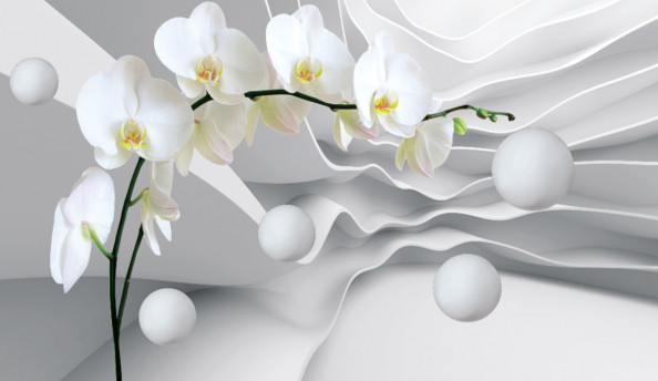 Фотообои орхидеи