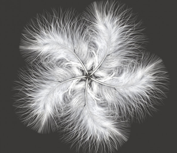 Фотообои Красивая композиция с пеьев