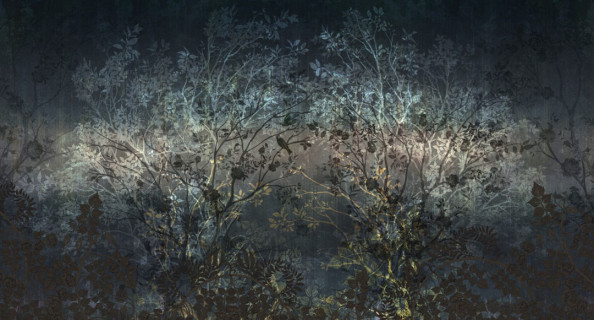 Фотообои Деревья на черном фоне